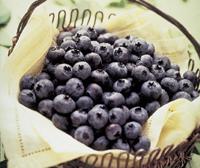Blueberrys