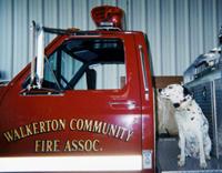 Fire Dog