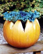 Planter