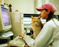 ON LINE WITH THE FELINE