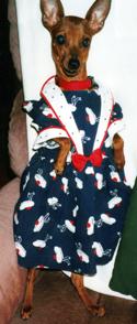 Primadoggy