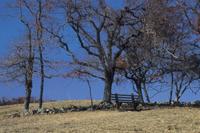Sky Meadows State Park
