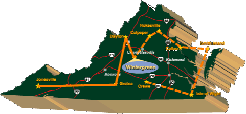 Wintergreen