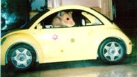 Hamster