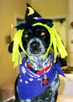 Witchy