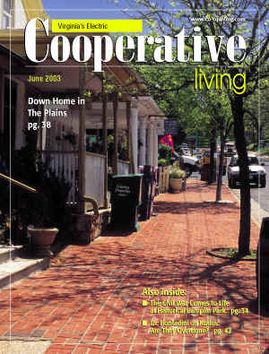 Cover Story: Down Home In The Plains; Editorial: June and Persistence; Dining In:Food For Fighting Fat; Reader Recipes: Kitchen Classics; Food For Thought: Graduation--How Many Is Too Many?