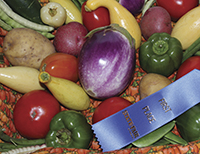 Crops Winners