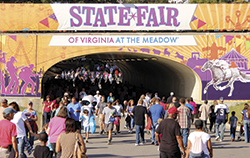 SFVA Crowd